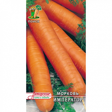 Морковь Император фото Морковь Император 